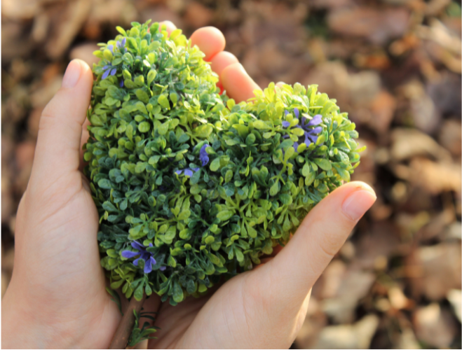 Le plaisir avant tout